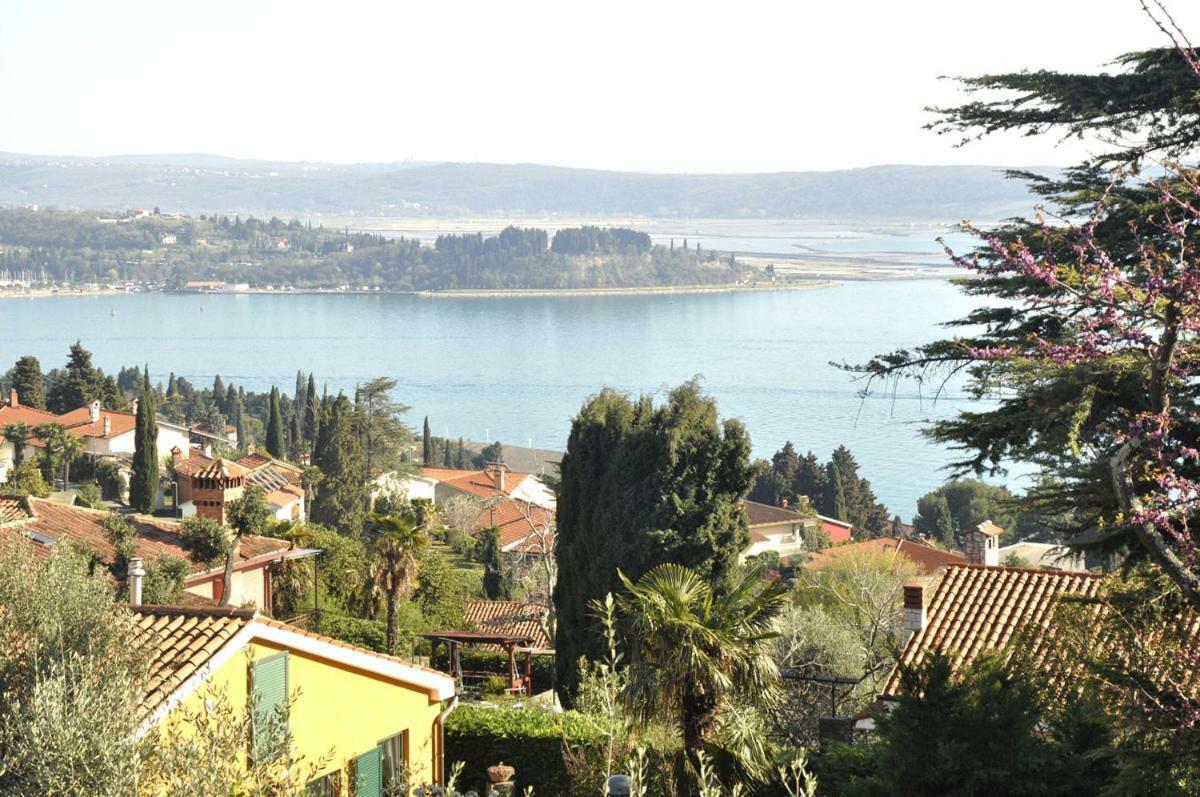 Bbp Apartment Πορτορόζ Εξωτερικό φωτογραφία