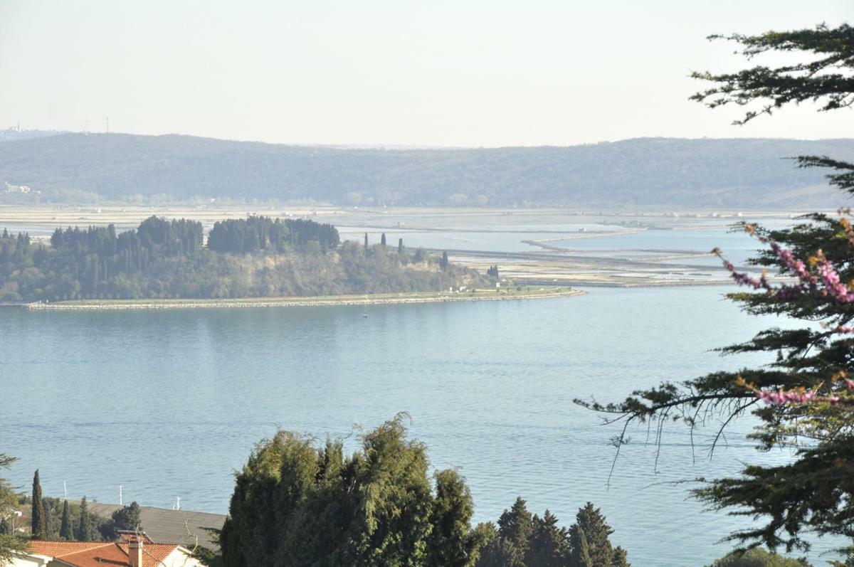 Bbp Apartment Πορτορόζ Εξωτερικό φωτογραφία